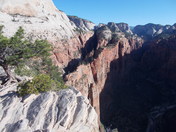 Zion National Park