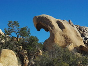 Joshua Tree National Park
