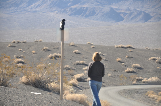 Death Valley