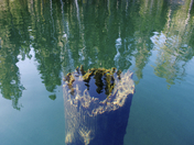 Sawmill Lake