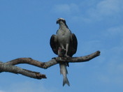 Everglades National Park, Florida