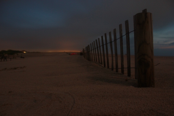 Assateague 