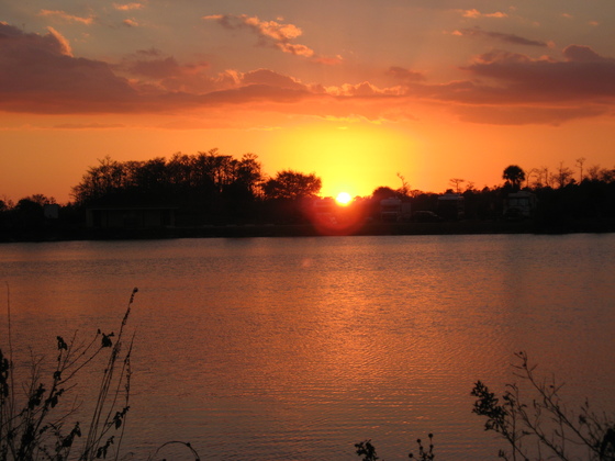 Big Cyprus National Preserve, FL