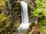 Mount Rainier National Park