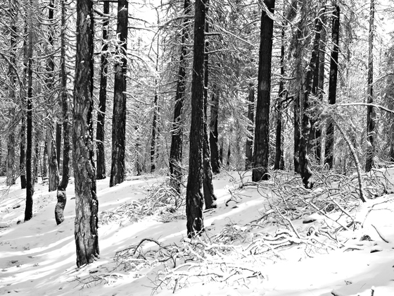 Lassen Volcanic NP