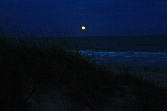 Cape Hatteras National Seashore