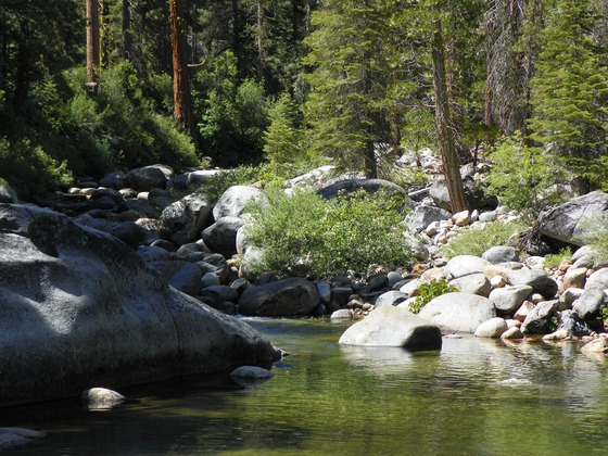 Dinkey creak, california
