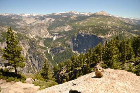 Yosemite National Park
