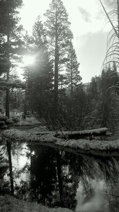 Humboldt-Toiyabe National Forest