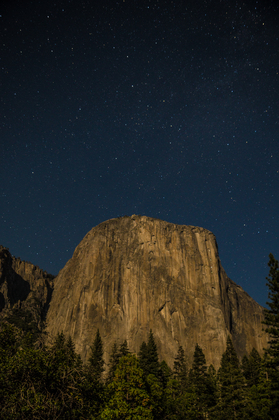 Yosemite National Park