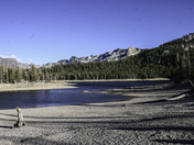 Inyo national Forest