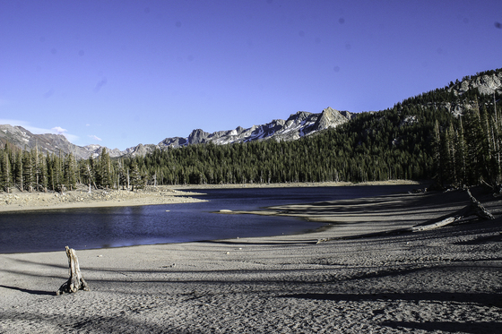 Inyo national Forest