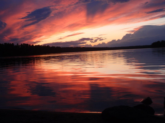 Superior National Forest