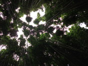 Haleakala National Park