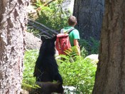 Sequoia National Park