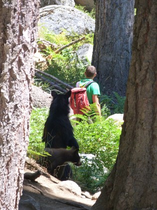 Sequoia National Park
