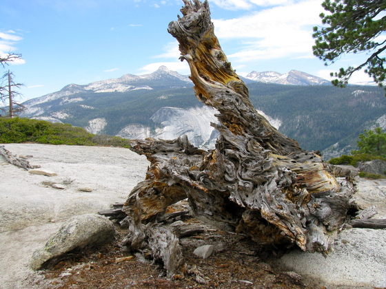 Yosemite National Park
