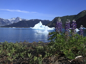 Kenai Fjords National Park