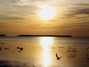 Everglades National Park