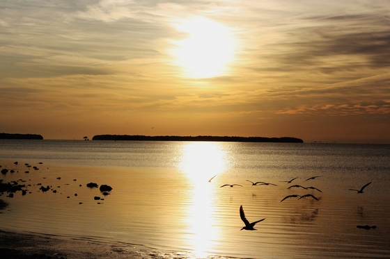 Everglades National Park