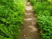 Great Smoky Mountains National Park