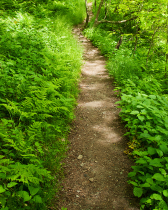 Great Smoky Mountains National Park