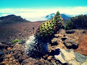 Haleakala National Park