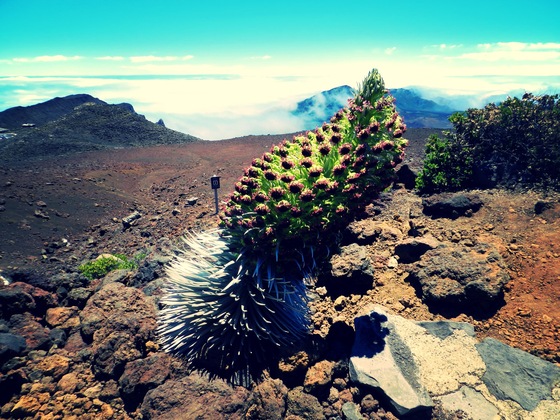 Haleakala National Park