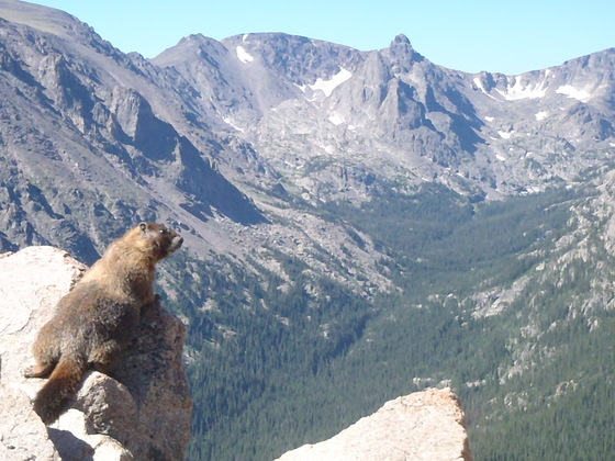Rockie Mountain National Park