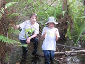 Everglades National Park