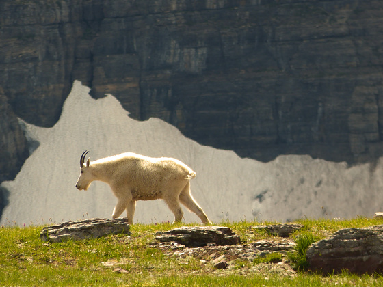 Glazier National Park
