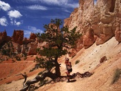Bryce Canyon National Park