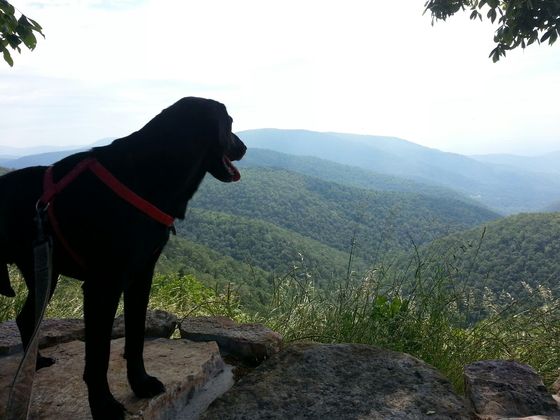 Shenandoah National Park
