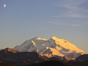 Denali National Park