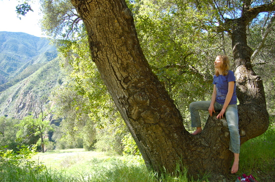 Los Padres National Forest