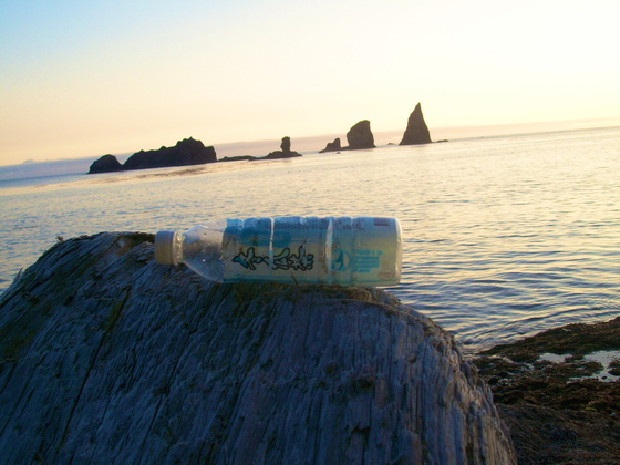 Olympic National Park
