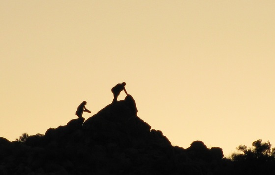 Joshua Tree