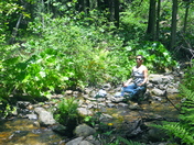 Chilkoot