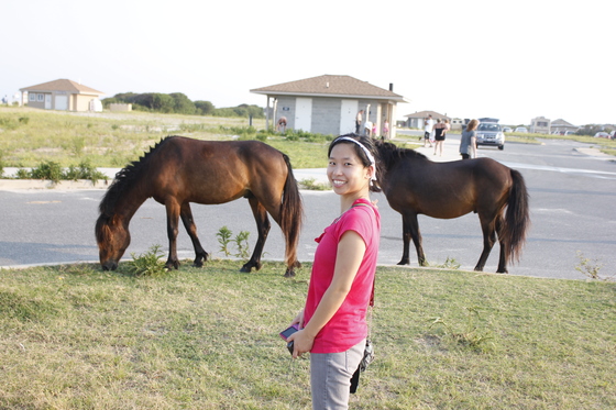 Assateague Island