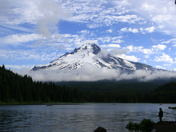 TRILLIUM