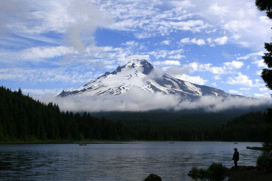 TRILLIUM