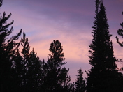 Yellowstone