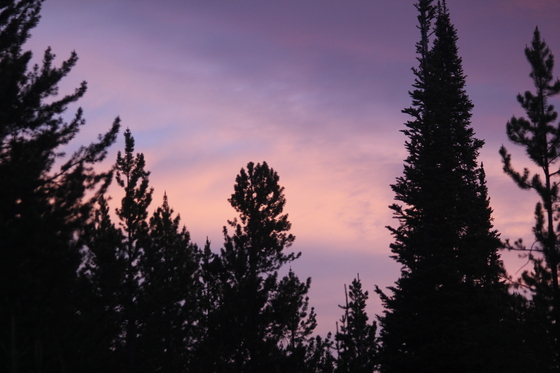 Yellowstone