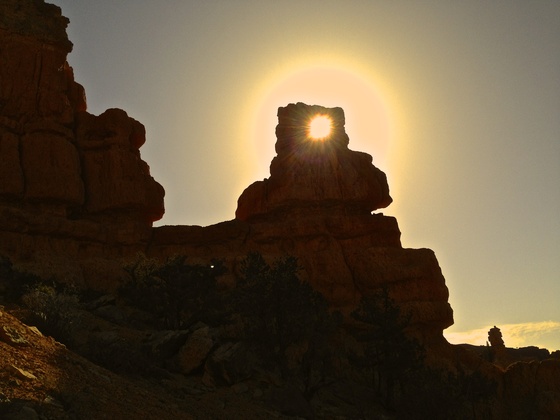 Red Canyon - Dixie National Forest - Utah