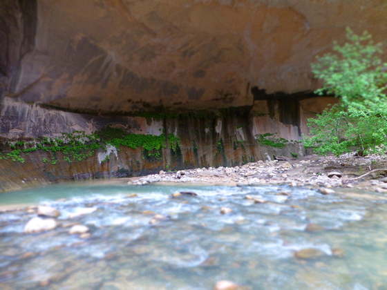 Zion National Park