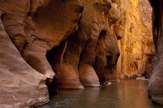 Zion NP Utah