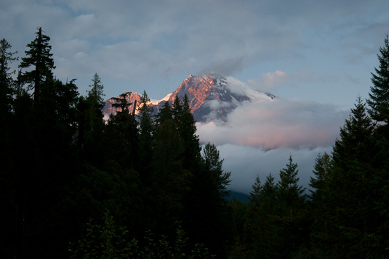 Mt Rainer National Park