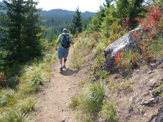 Mt Hood National Forest