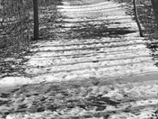 Indiana Dunes National Lakeshore