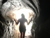 Sequoia national Park